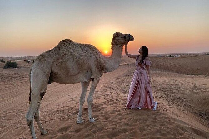 Red Dune Desert Safari with BBQ Dinner - Key highlights worth planning for