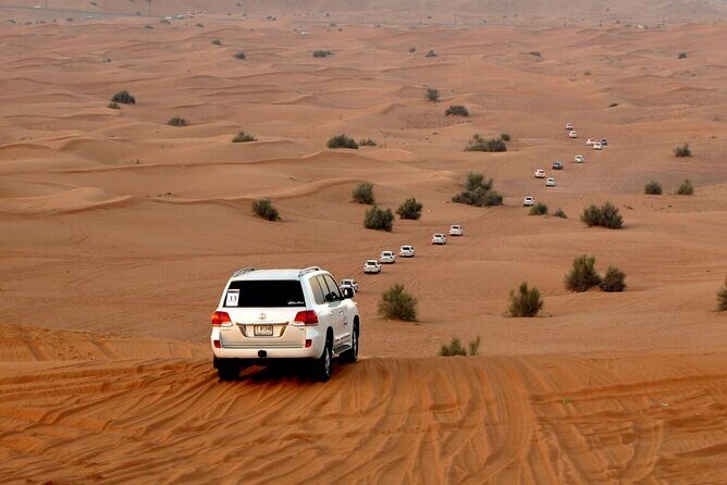 Red Dune Evening Desert Safari with Sandbashing and BBQ Dinner - Sandboarding and Sunset Photo Stops: The Part You’ll Want More Time for