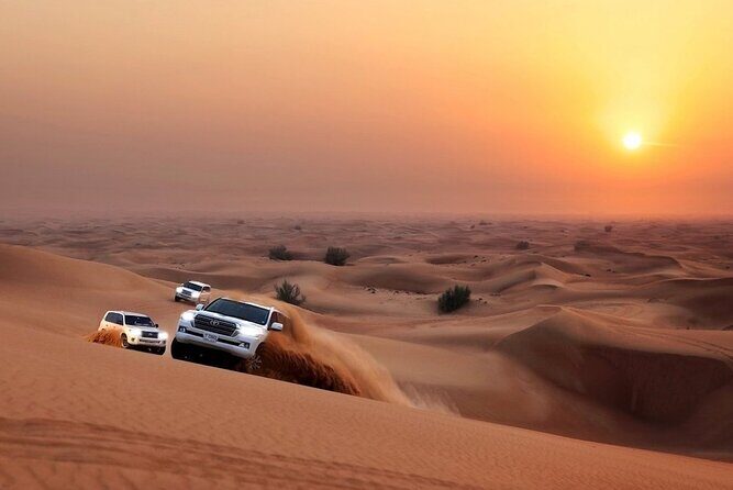 Red Dune Safari with Quad bike & Sandboarding - Key Highlights You’ll Actually Feel