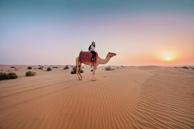 Red Dunes 4x4 Dubai Desert Safari - Why a 3pm Red Dunes Safari Feels Better Than a Midday Desert Trip