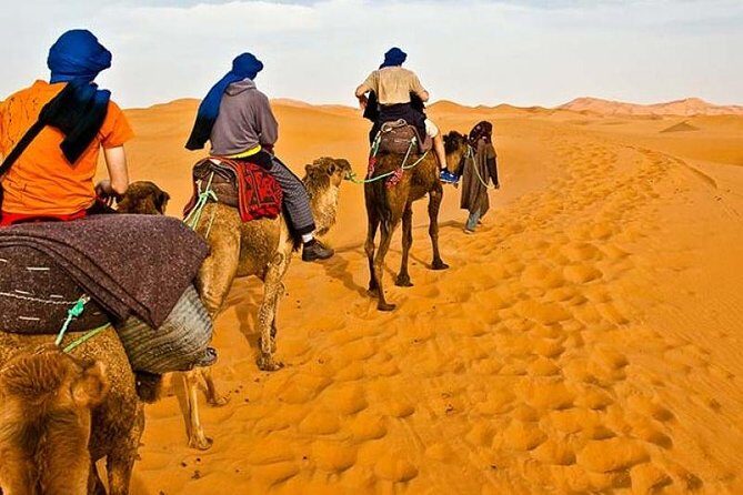 Red Dunes Desert Safari Plus ATV Quad Bike Ride (Land Cruiser) - Key things to know before you go