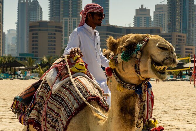 Red Dunes Quad Bike Safari, Sand surf, Camels and BBQ - Sandboarding: the sand surf moment people forget they’ll love