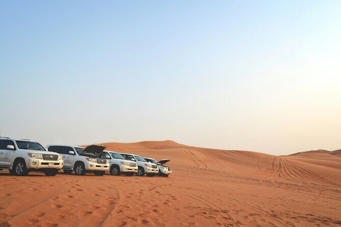 Red Dunes Safari Dubai Tour with Camel Ride, BBQ and Live Shows - Quick Hits If You Want Desert, Not Fuss
