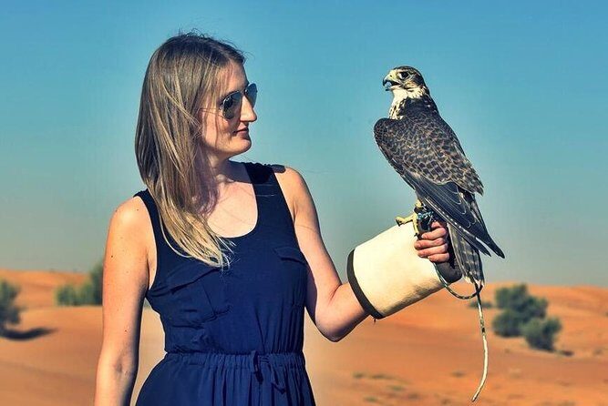 Red Dunes Safari with BBQ dinner, Falcon and Camel Ride - The dinner and show lineup: BBQ buffet plus multiple performances