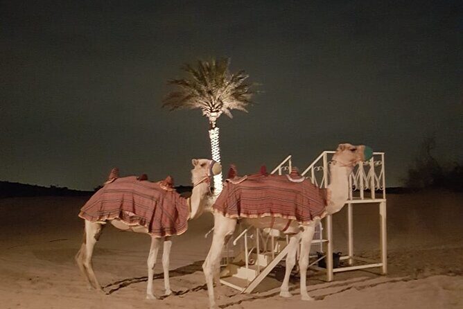 Royal Fortress Fine Dining Desert Safari - Sunset Photography From the Dunes (Short Stop, Big Payoff)