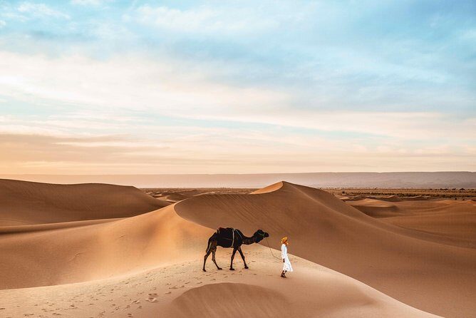 Royal Private Desert Safari - Exclusive SUV - Who should book this desert safari (and who might want a different setup)