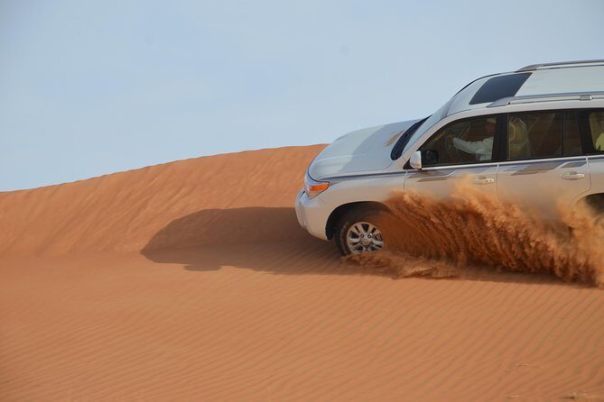 Safari Half-Day Adventure from Abu Dhabi - Key highlights to know before you go