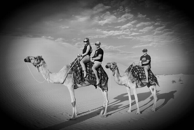 Safari Half-Day Adventure from Abu Dhabi - Camp arrival: camel farm time, sandboarding, and the stuff you can actually do