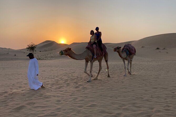 Safari Half-Day Adventure from Abu Dhabi - BBQ buffet dinner: the meal you actually look forward to