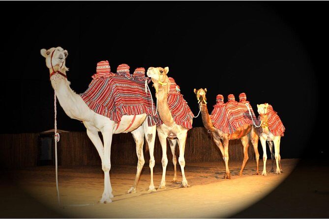 Sahara Arabian Desert Dinner Experience with Transport from Dubai - Small Group Energy: Max 15 Travelers