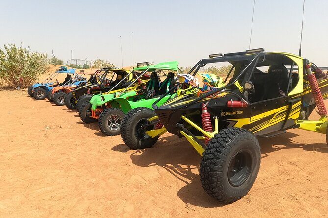 Sand Rail Dune Buggy Adventure with Sandboarding & Camel Riding - Sandboarding and the camel encounter: more than a speed ride