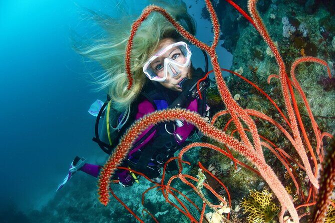 Scuba dive with sharing transfers - Key things to know before you go