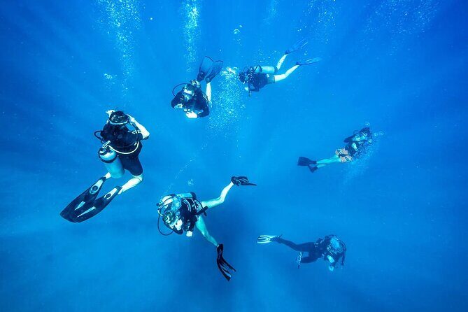Scuba dive with sharing transfers - Price and value: what $125 covers, and what you should compare