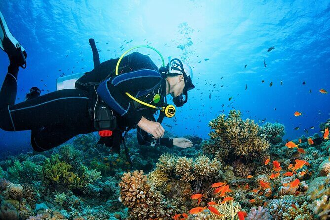 Scuba dive with sharing transfers - Who should book this Try-Scuba package
