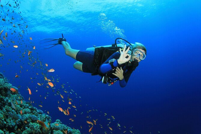 Scuba dive with sharing transfers - How the training works (and why it feels safe)