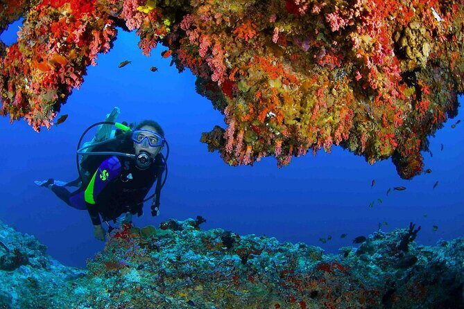 Scuba Diving at Jumeirah Dubai with Private Transfers - Small group, big difference: 4 students to 1 instructor