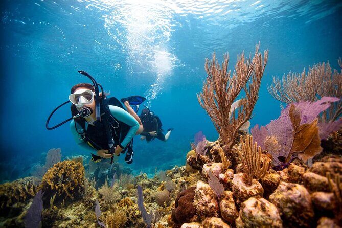 Scuba Diving at Jumeirah Dubai with Private Transfers - From private pickup to water time: how the 2.5 hours usually feel