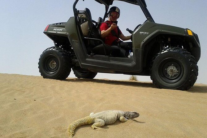 Self-Drive Buggy (Shared Buggy-2 people) or Quad Bike Safari - Price and Value: Is $110 Worth It for Your Time in Dubai?