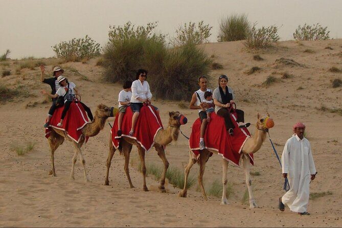 Self Drive Dune Buggy with Sandboarding and Camel Ride - The dune drive: learning fast, then getting the thrill
