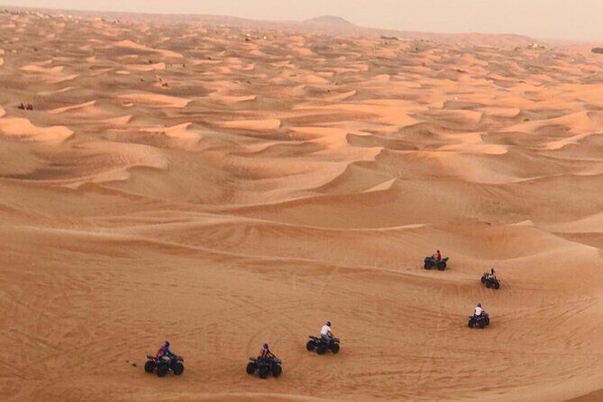 Self Drive Quad Bike in Open Desert With Sand Boarding and Camels - Camel Ride: Slower Pace, Classic Desert Photos
