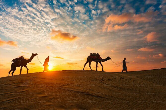 Shared Desert Safari in Dubai - Shared Desert Safari Dubai: What Makes It Worth Doing