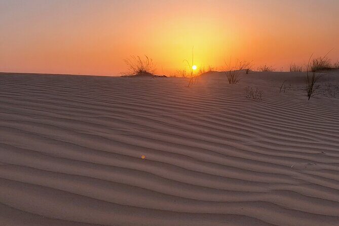 Shared Desert Safari Tour Dubai with Dinner Included - BBQ Dinner Under the Stars and Optional Shisha
