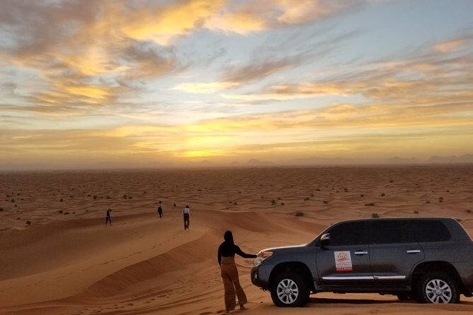 Shared Morning Safari - Key Highlights at a Glance