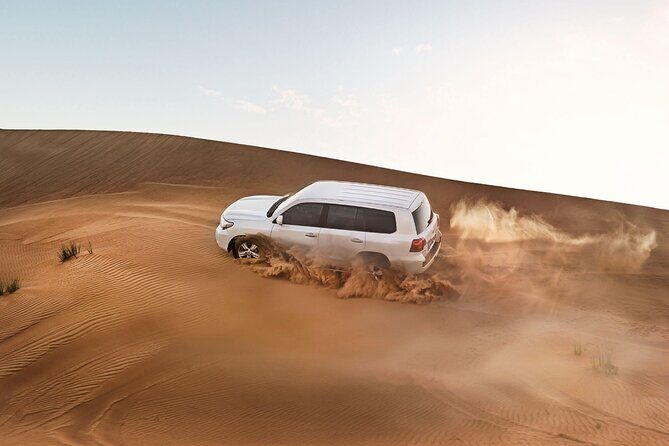 Shared Morning Safari - Dream Dubaï Team Energy: Responsive and Welcoming