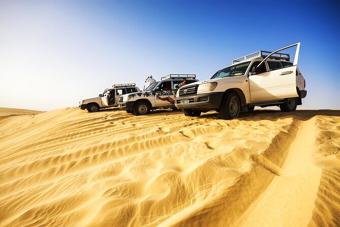 Shore Excursions of Dubai City Tour followed by Desert Safari - Price and value: what you pay $150 for, and what costs extra
