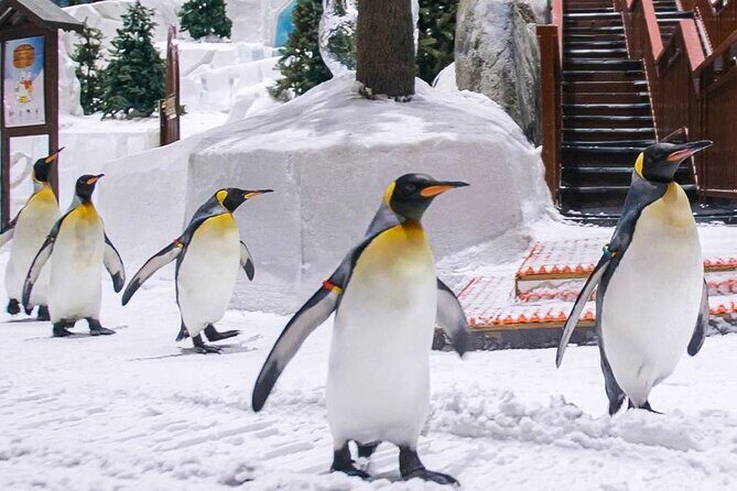 Ski Dubai Full Day Admission Ticket - Key Takeaways Before You Go