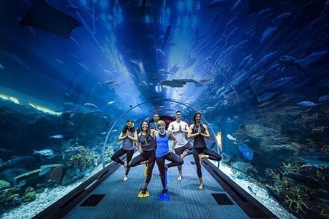 Ski Dubai Tickets with options - Ski Dubai + Aquarium in One Day: How the Combo Feels