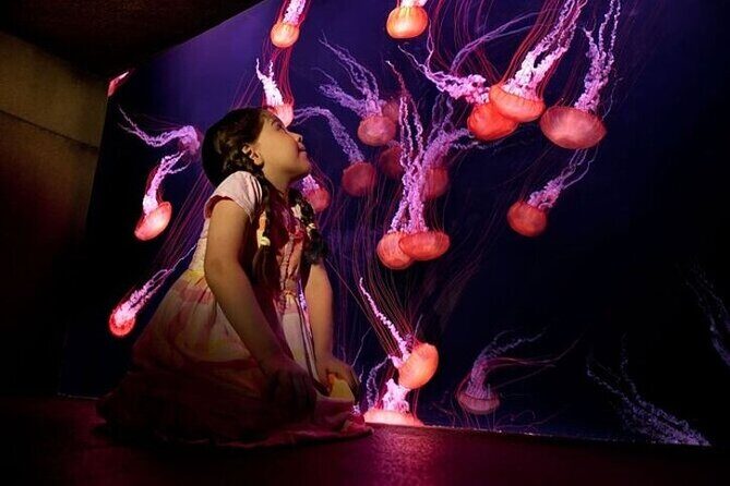 Skip The Line : Atlantis Lost Chambers Aquarium - Touring the themed aquarium: What your 1–3 hours feels like