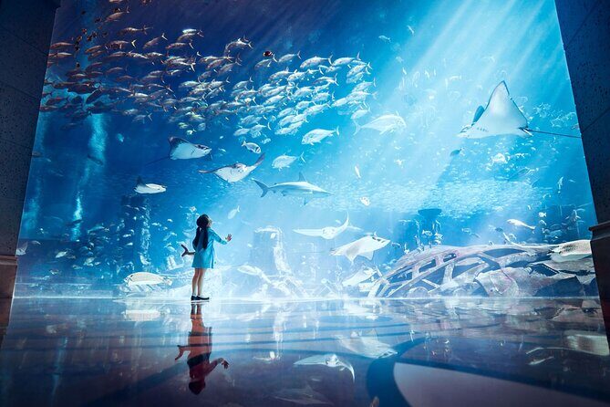 Skip the Line: Lost Chambers Entry at Atlantis The Palm Ticket - Lost Chambers Aquarium at Atlantis The Palm: What you’re really buying