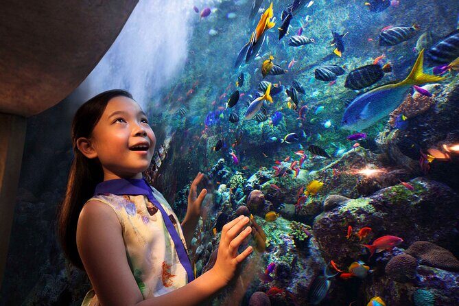 Skip the Line: Lost Chambers Entry at Atlantis The Palm Ticket - Special experiences you might add later (at your own expense)