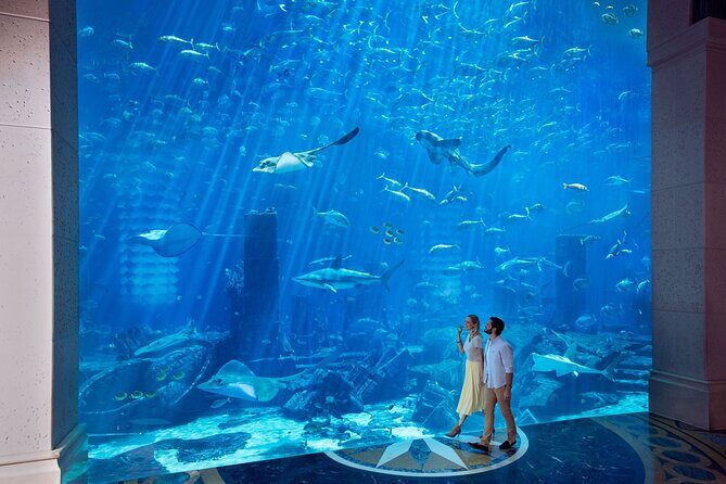 Skip the Line: Lost Chambers Entry at Atlantis The Palm Ticket - Getting in: Skip-the-line reality at the Ticketing Plaza