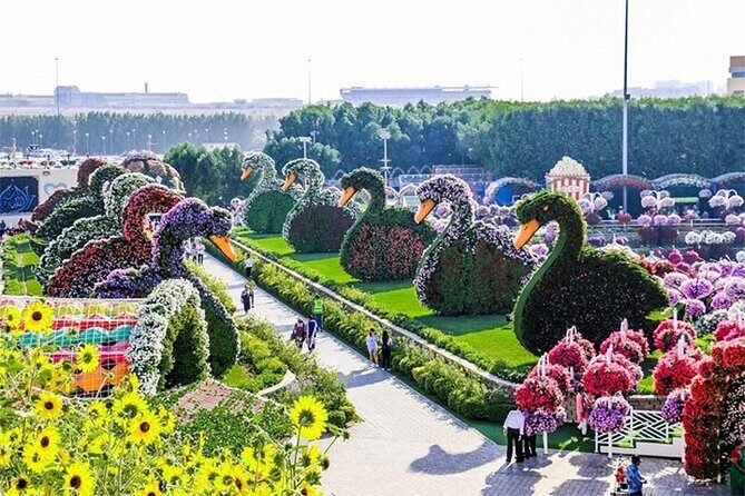Skip The Line to Dubai Miracle Garden Entry Ticket - “Skip-the-line” entry: how the ticket works in real life