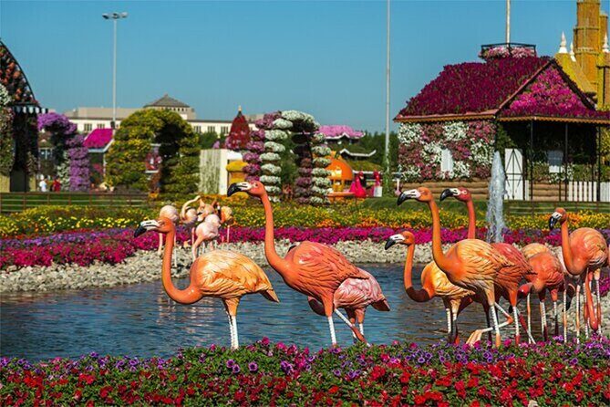 Skip The Line to Dubai Miracle Garden Entry Ticket - Price and value: what $31 gets you (and what it doesn’t)