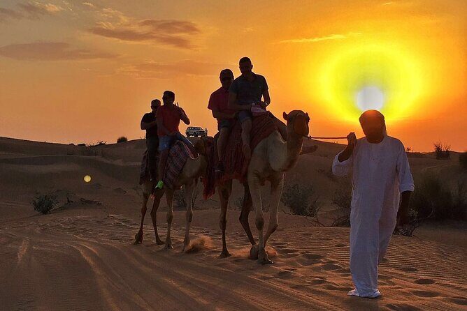 Small-Group UTV Desert Adventure with Camel Ride Experience - Camel Ride: A Calmer Cultural Pause After the UTV