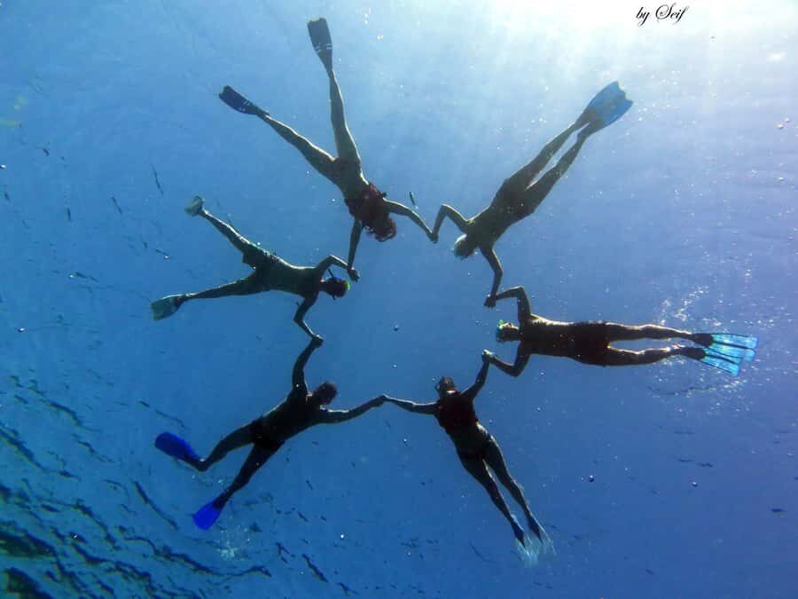 Snorkeling with Turtles: Dubai to Fujairah + Transfer & BBQ - Key highlights you’ll care about