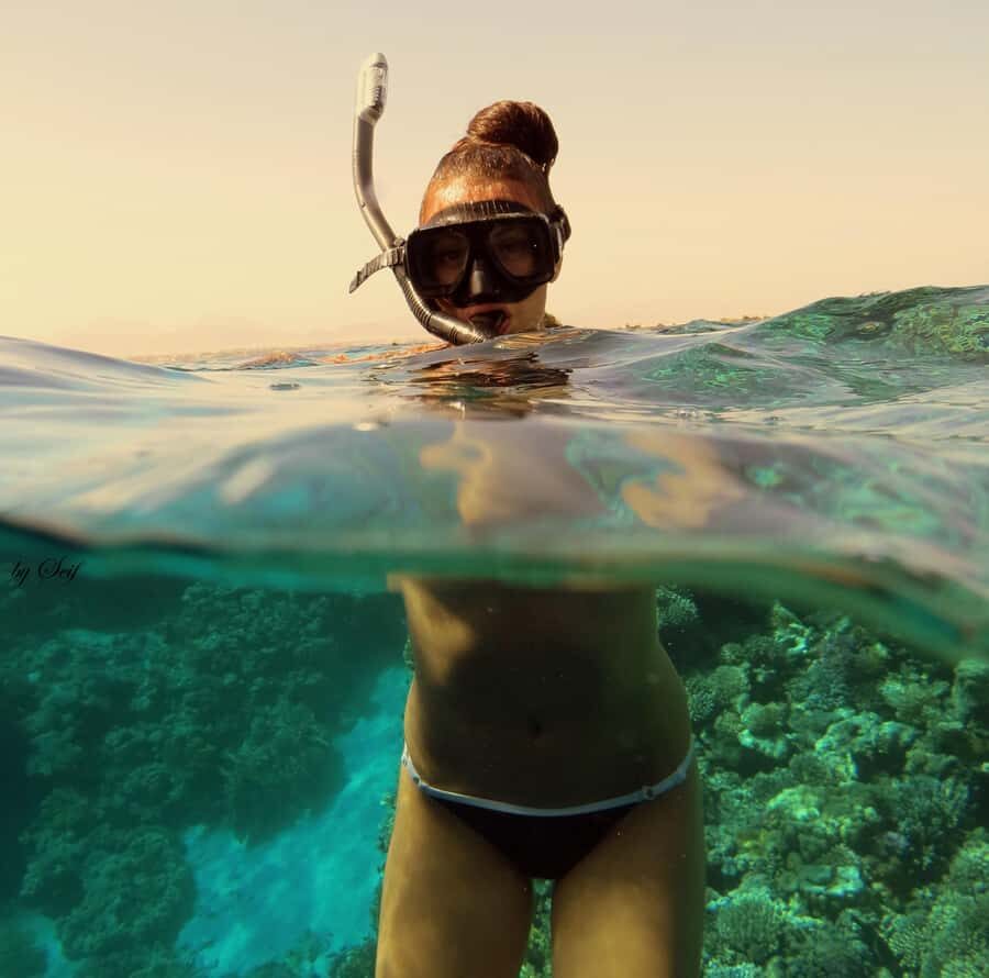 Snorkeling with Turtles: Dubai to Fujairah + Transfer & BBQ - Gear, life jackets, and safety: the stuff you should check before you go