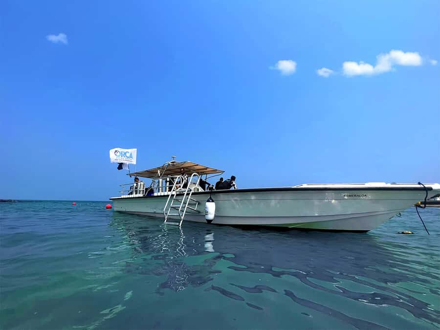 Snorkeling with Turtles: Dubai to Fujairah + Transfer & BBQ - Snorkeling with sea turtles: what two guided stops really means