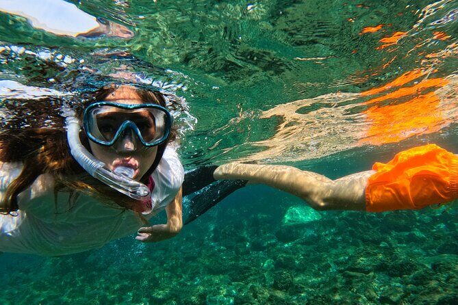 Snorkeling with turtles in Fujairah with BBQ lunch - Equipment and Comfort: What You Don’t Have to Bring