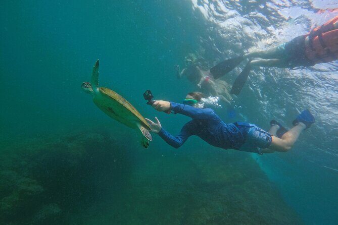 Snorkeling with turtles in Fujairah with BBQ lunch - The Guide Experience: Why Good Spotting Changes Everything