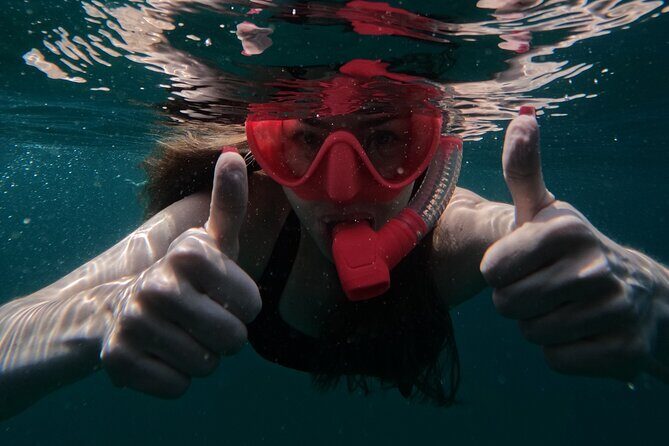 Snorkeling with turtles in Fujairah with Transfer & BBQ lunch - Small Group Comfort: Why Max 12 Changes Everything