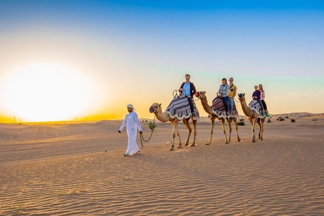 Standard Desert Safari 4X4 Pickup & Drop with Dinner & Live Shows - Pickup Timing and WhatsApp: How to Avoid the Common Headache