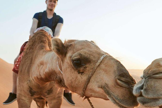 Standard Dubai 4x4 Desert Safari - Sunset & BBQ Dinner - The BBQ Buffet: What You Get (and What to Buy If You Want More)