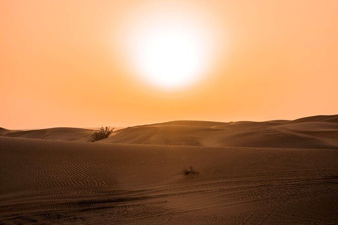 Sundowner Desert Safari and Dinner - What You’re Really Buying: Dune Time, Dinner Time, Show Time
