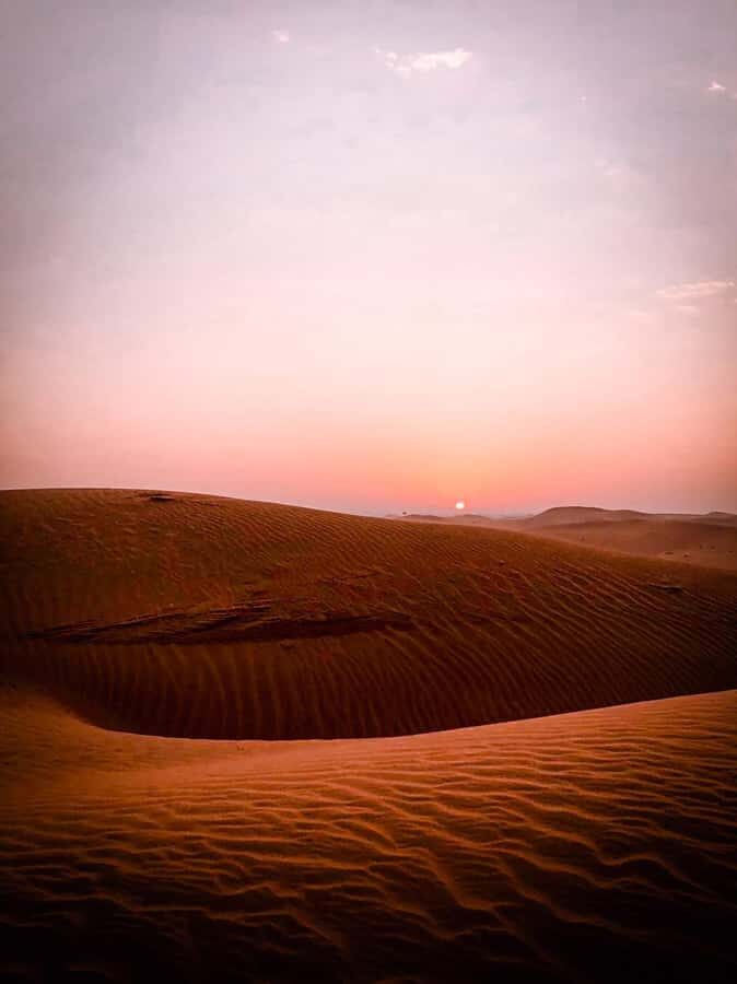 Sunrise Desert Safari - Abu Dhabi - Key Highlights That Make This Safari Worth It