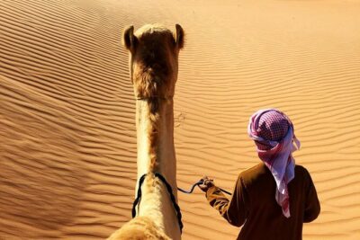 Sunrise Desert Safari from Abu Dhabi - How the 4-Hour Sunrise Safari Unfolds
