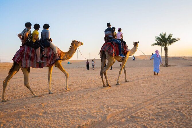 Sunrise Desert Safari With Quad Bike and Camel ride - Quad Bike Time: Self Driving in a Designed Area